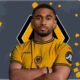 Reiss-Nelson-Wolves